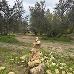 Infinity Yasam Vadisi אכסניה *