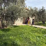 بيت شباب Infinity Yasam Vadisi Ayvalı