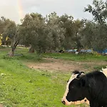 بيت شباب Infinity Yasam Vadisi *