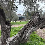 Infinity Yasam Vadisi Ayvalı