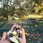 Infinity Yasam Vadisi بيت شباب Ayvalı