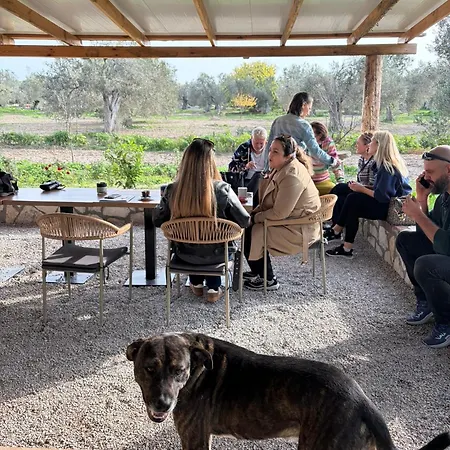 Infinity Yasam Vadisi Auberge de jeunesse