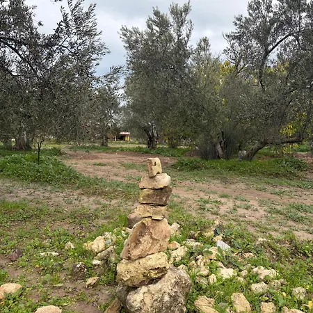 Infinity Yasam Vadisi Hostel *