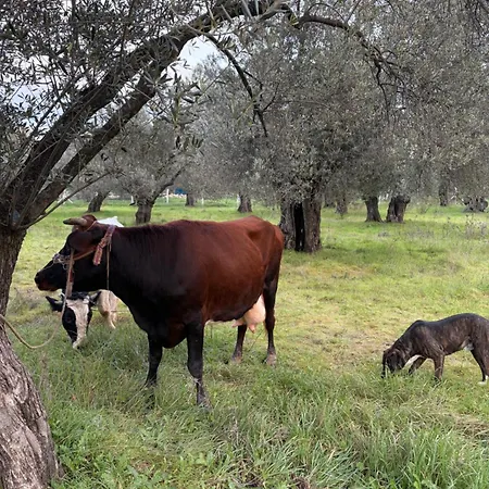 Auberge de jeunesse Infinity Yasam Vadisi *