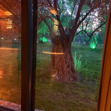 Infinity Yasam Vadisi