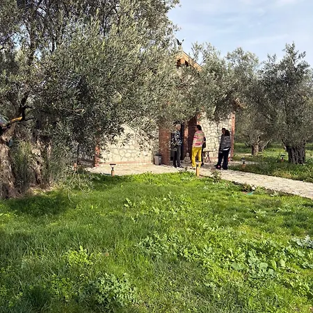 Auberge de jeunesse Infinity Yasam Vadisi Ayvalı