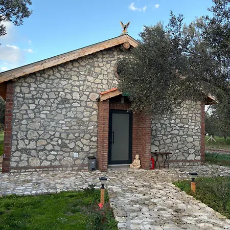 Infinity Yasam Vadisi Ayvalı