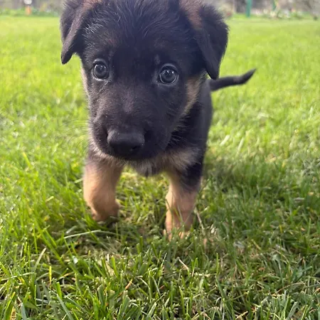 Auberge de jeunesse Infinity Yasam Vadisi *