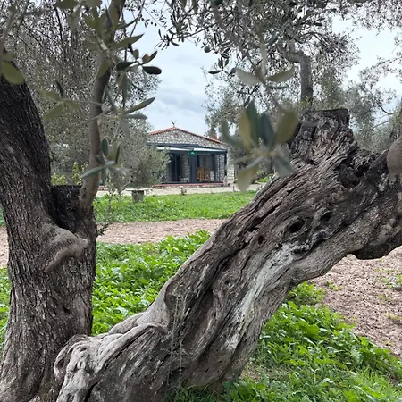 Infinity Yasam Vadisi Ayvalı