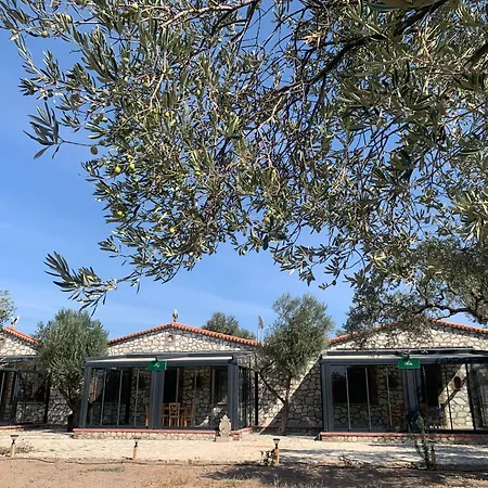 Auberge de jeunesse Infinity Yasam Vadisi *