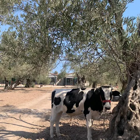 Auberge de jeunesse Infinity Yasam Vadisi *