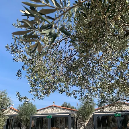 Auberge de jeunesse Infinity Yasam Vadisi Ayvalı