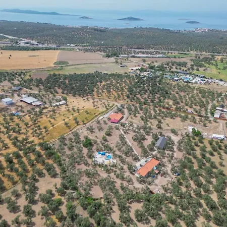 Auberge de jeunesse Infinity Yasam Vadisi