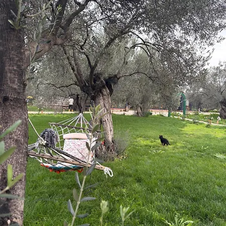 Infinity Yasam Vadisi * Ayvalı