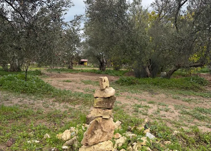 Infinity Yasam Vadisi Hostel *