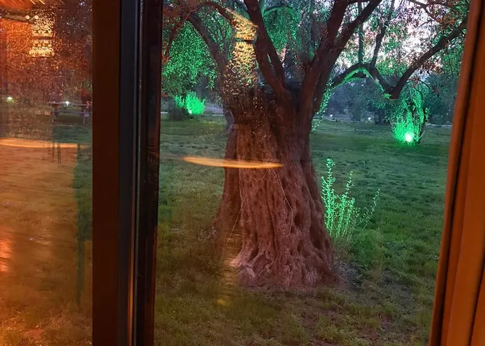 Infinity Yasam Vadisi