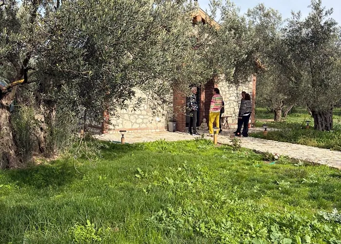 Hostel Infinity Yasam Vadisi Ayvalı