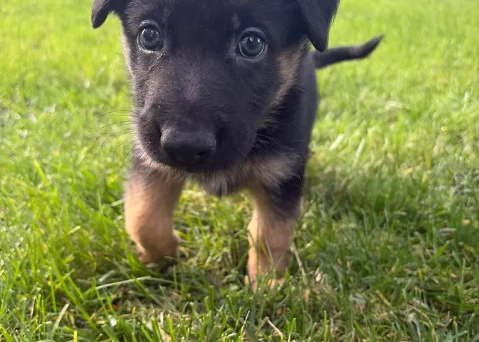 Hostel Infinity Yasam Vadisi *