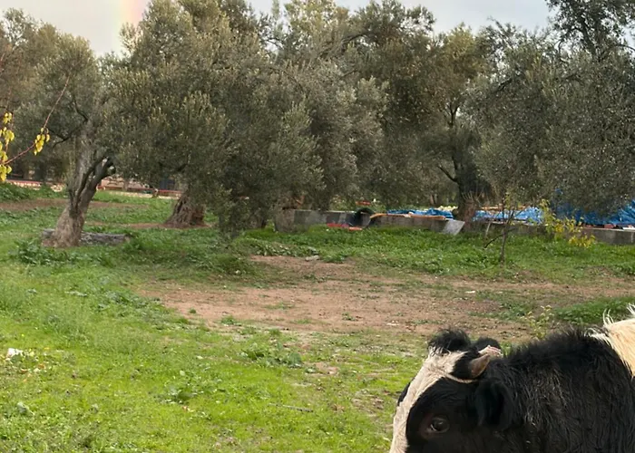 Hostel Infinity Yasam Vadisi *