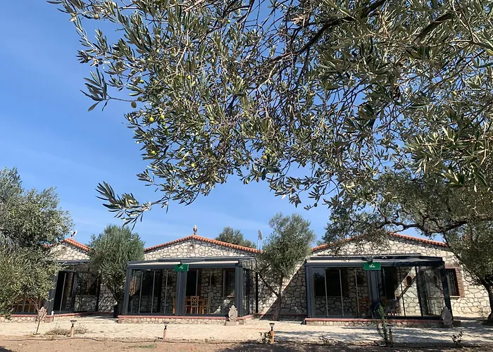 Hostel Infinity Yasam Vadisi *