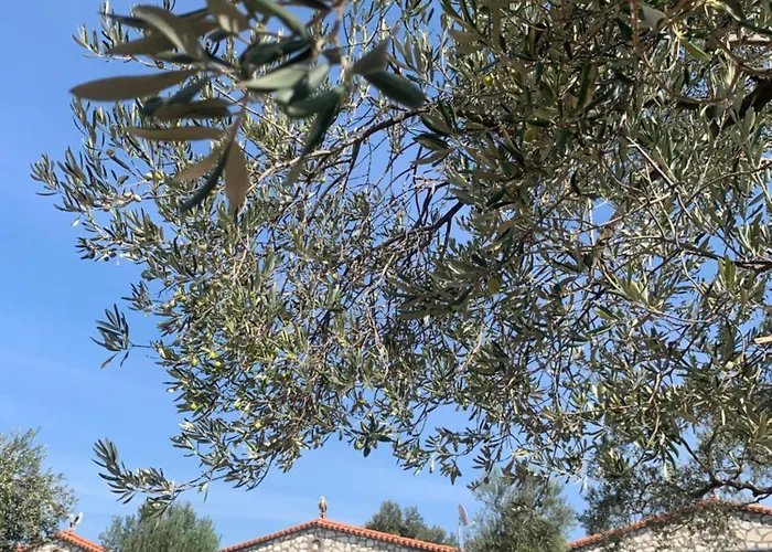 Hostel Infinity Yasam Vadisi Ayvalı