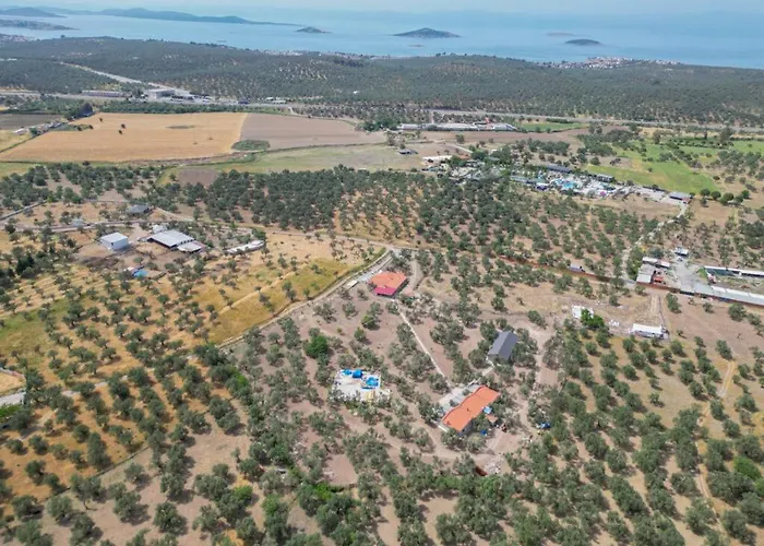 Hostel Infinity Yasam Vadisi